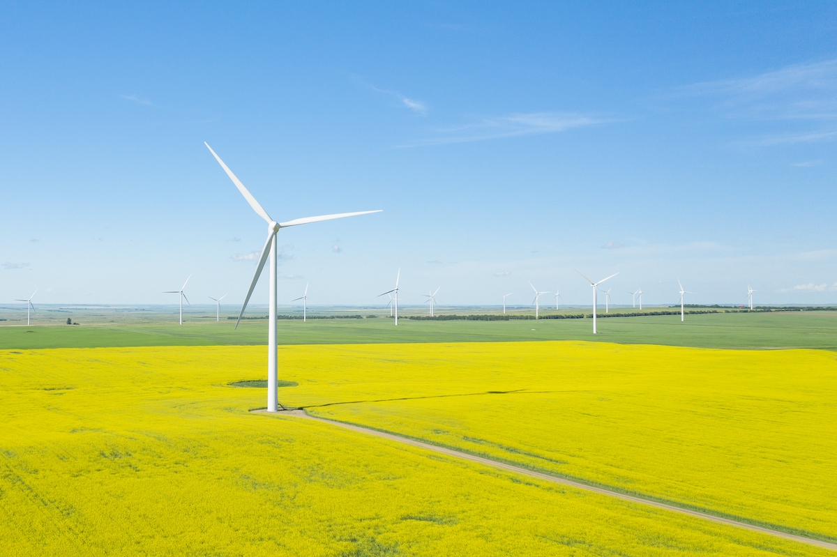 Vertical shot of wind generators in a large field during daytime