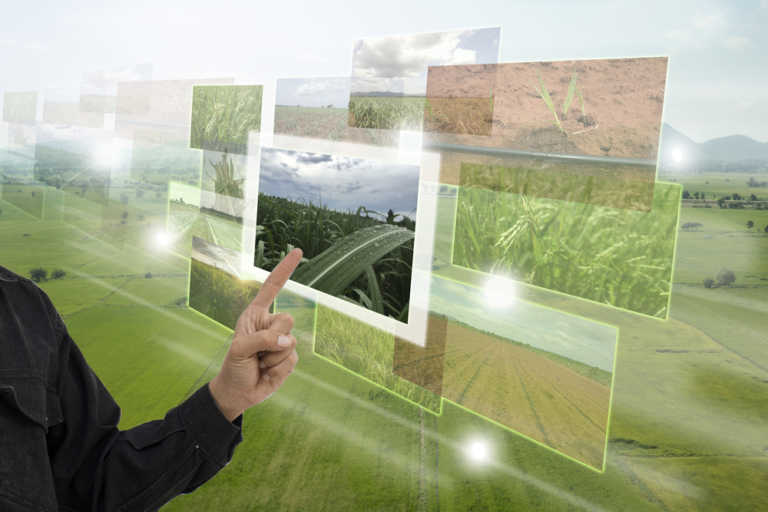How smart technology is revolutionizing agriculture