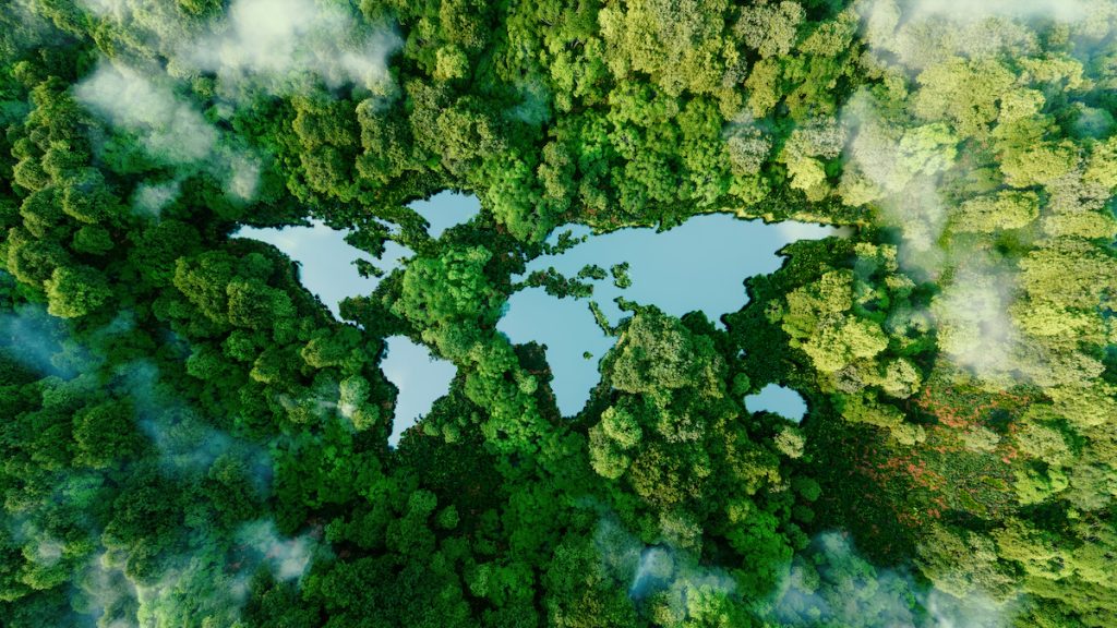 What does it mean to become Carbon Neutral?