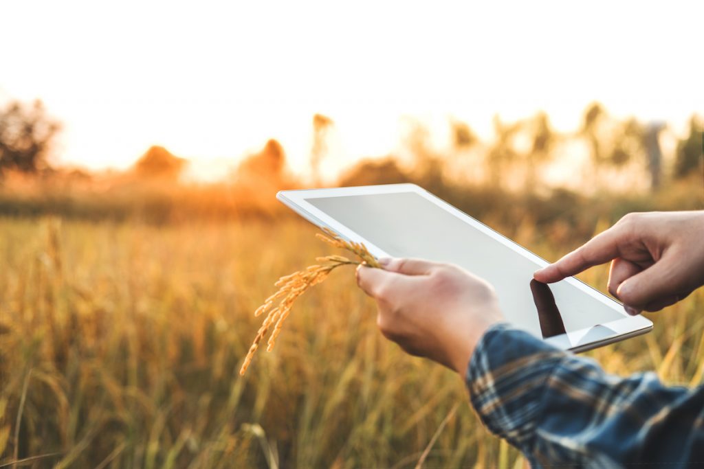 What is Smart Agriculture? How can we put it Into Practice in Areas without Mobile Coverage?