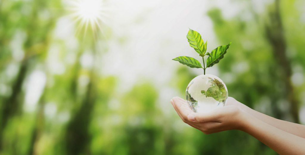 Direct Carbon Capture – What is it? How does it work?