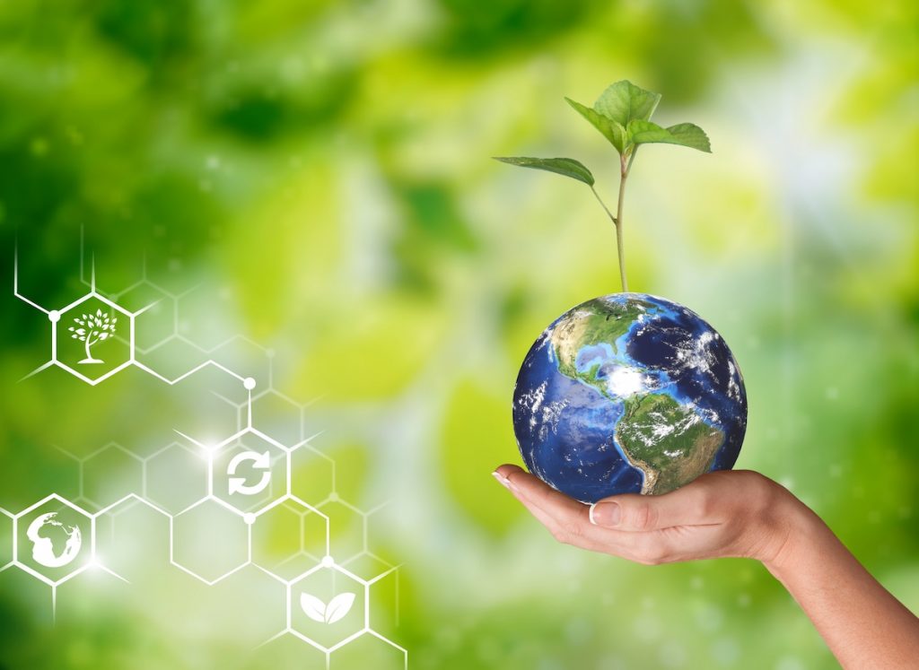 An executive guide to the net-zero sustainability journey