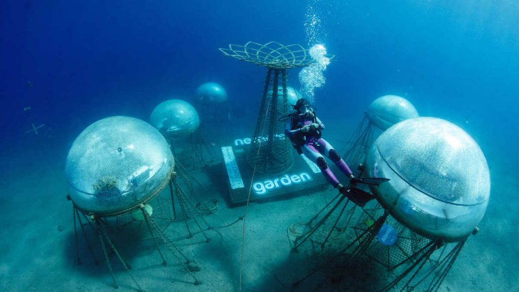 Nemo’s Garden is using Digital Twin technology to accelerate underwater farming