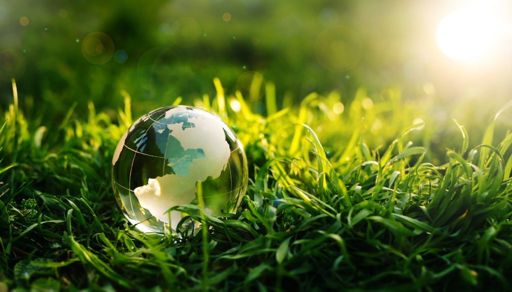 There Can Be No Business Transformation in Isolation from Sustainability